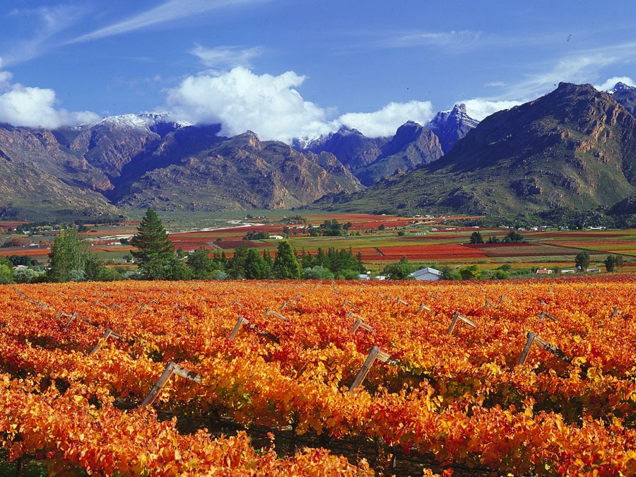 The Breede River Valley